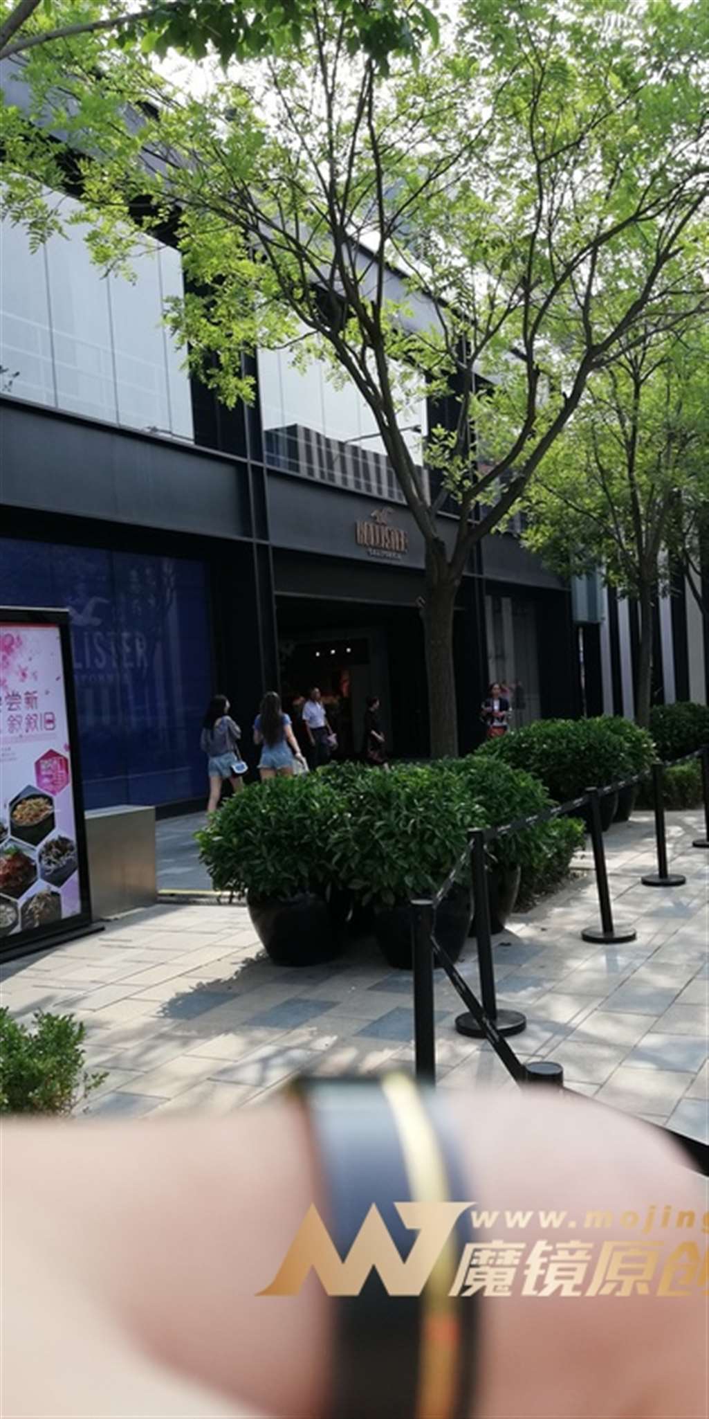 图片[3]-【视觉冲击赛贴】我承认，我喜欢妳~-流行馆