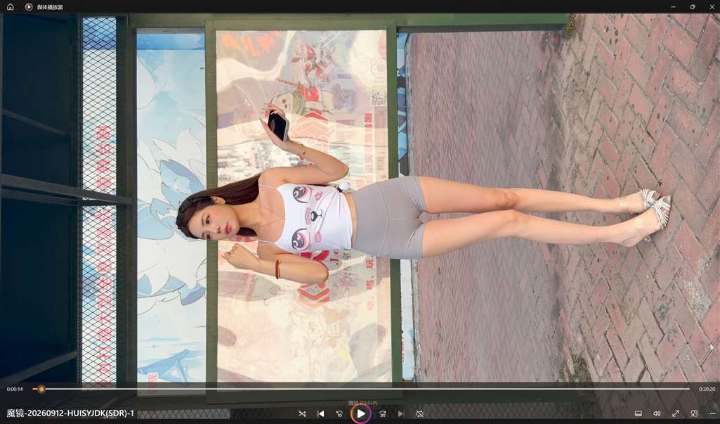 三只布朗熊 23P-流行馆